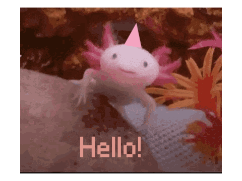 unilotl (unicorn axolotl)