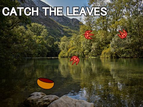 Catch The Leaves!!