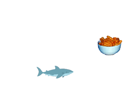 Run From The Shark!