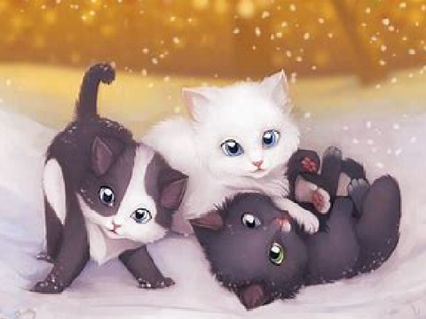 Cute cat art