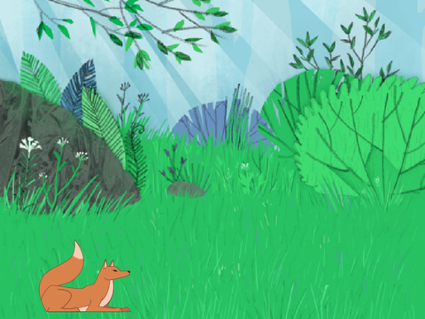 Fox quiz