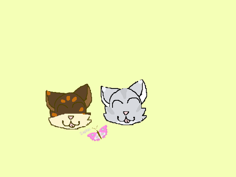 Warrior cats Pride
