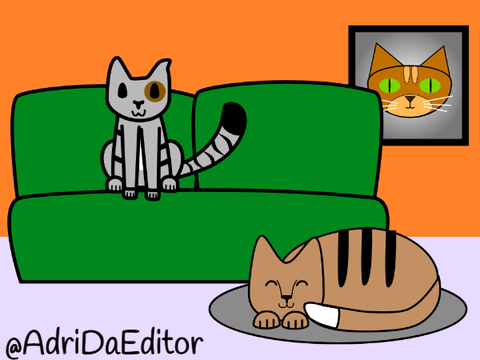 Cat Contest Entry