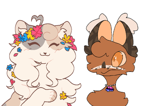 ♡ softstorm and card just vibing!!