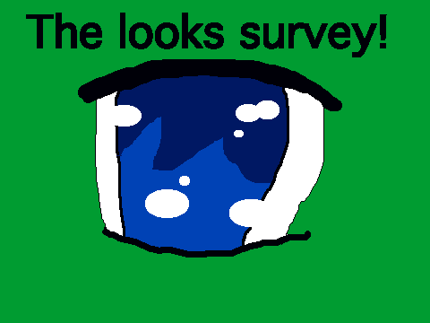Huzzah! ~the looks survey