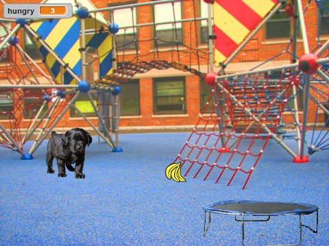 Virtual Pet