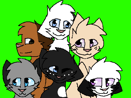 Warrior Cat Squad!!!