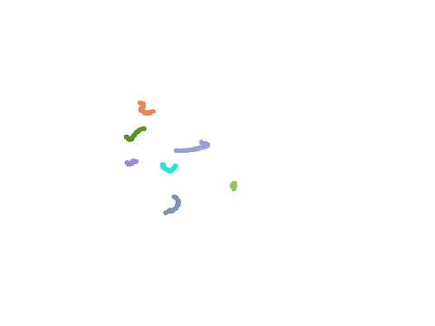 Worms
