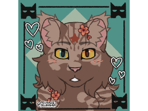 Last Cameo [In this Account]