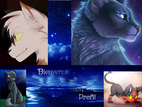 Bienvenue sur mon profil :3
