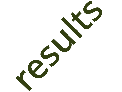 Results