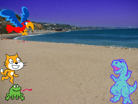 Animal Race!