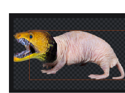 why? why did I do this?