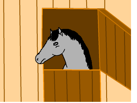 Horse in stable