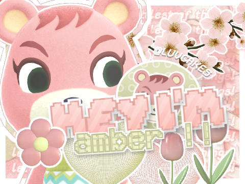 ╰▹ order folder ⺌