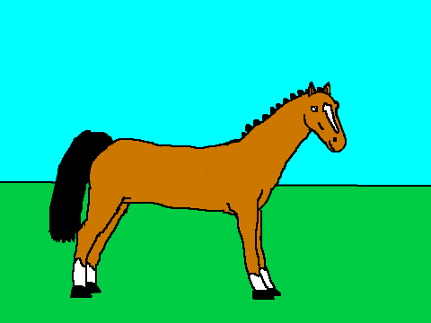 Hackney horse! 