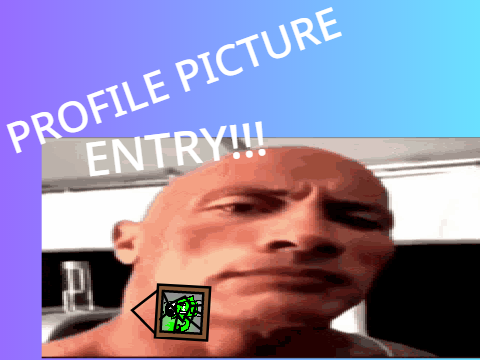 Profile Picture Entry!!!