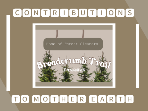 SCM- Forest Cleaners- Contributions