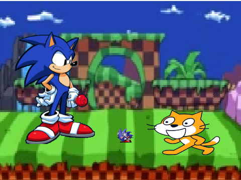 Sonic Trouble