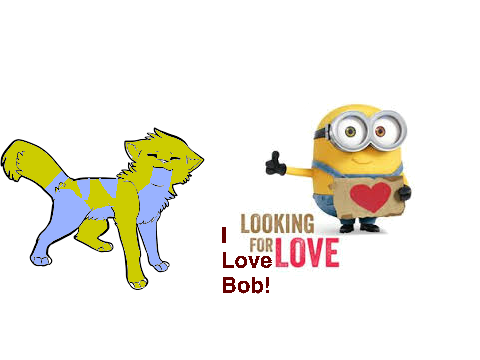 BOB!!