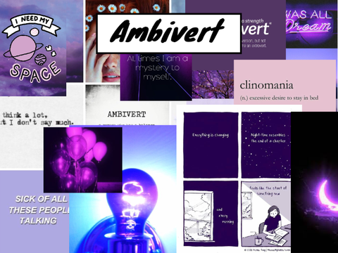 Ambivert