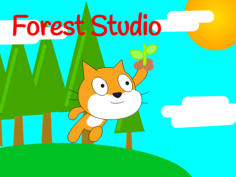 Forest Studio