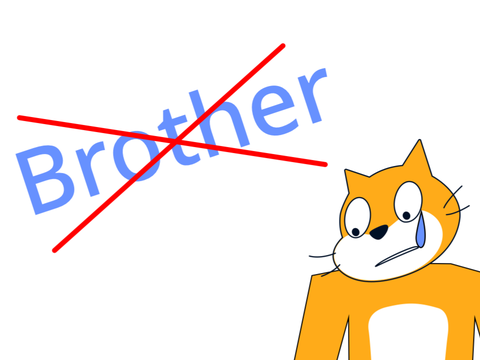 What if you didn't have a brother