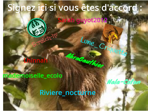 Remix si tu es pour la protection des Orang-Outang!!! 