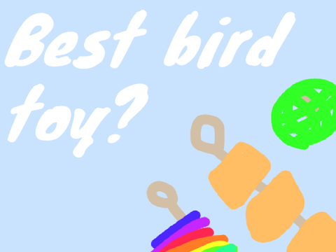 Best bird toy?