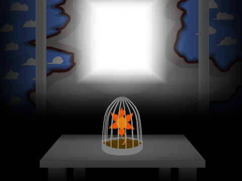 A Flower in a Cage