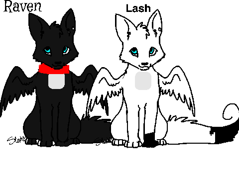 lash and raven