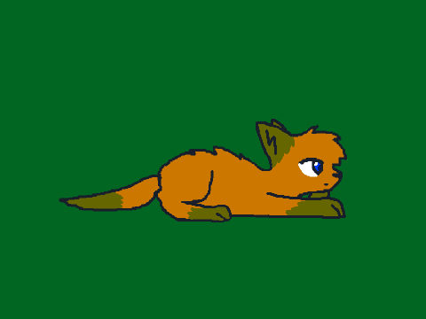 Randomashon