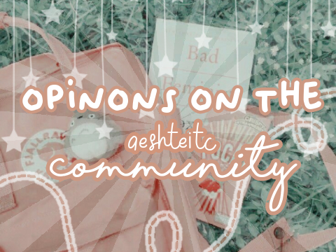 ✎┊opinions on the aesthetic community