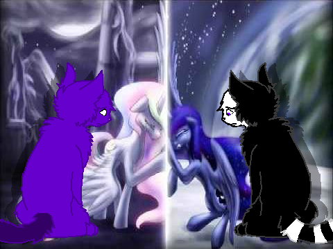 Sadness CCE