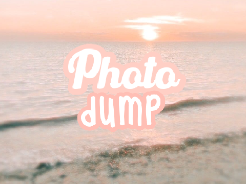 ✧.* Photo Dump *.✧