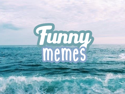 ·*. * Funny memes *. * ·