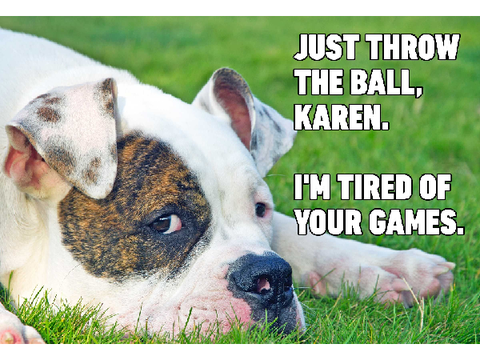 Dog memes 2