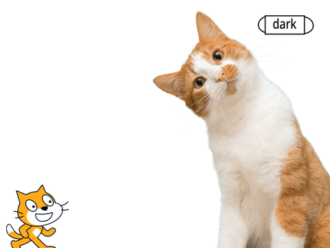 Scratch Cat in real life