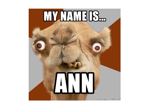 Ann