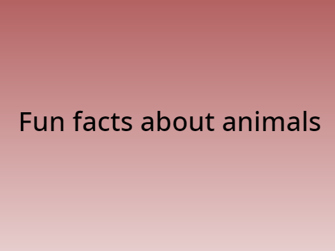 Fun facts about animals