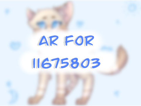 AR for 11675803
