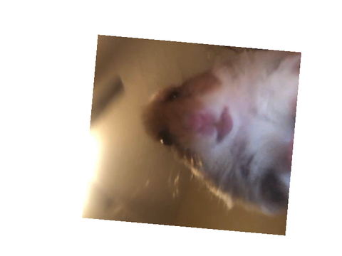 you encountered a banjo  remix