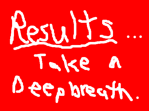 Warrior Cats CC Results