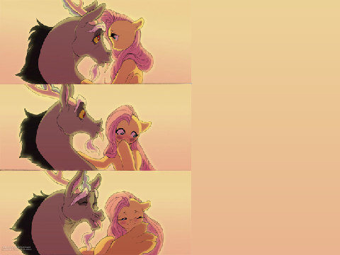 fluttercord