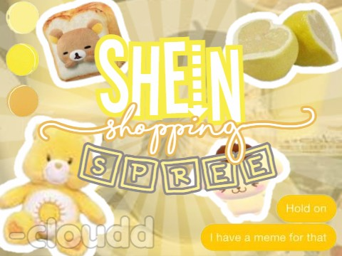 ♡ shein shopping spree ´ˎ˗