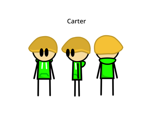 OC - cartermeerkat