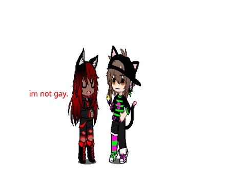 “Not gay” Meme - Pt.2 (kinda-)