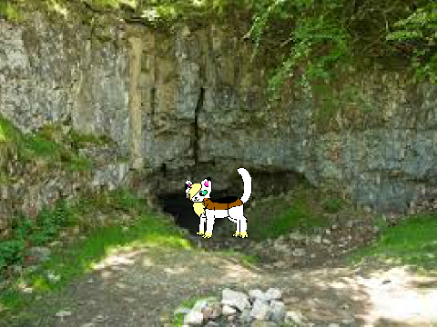 Warrior CatsThunderClan Den Tour! (NOT FINISHED!)