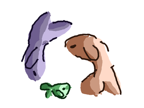 fish in a circle