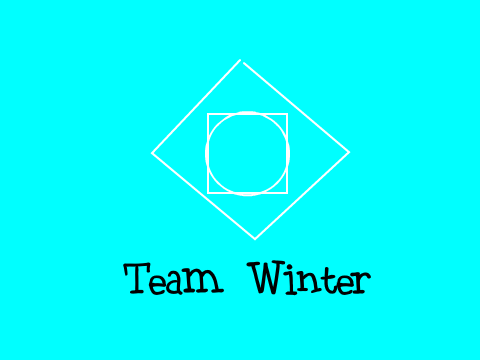 Team Winter base logo